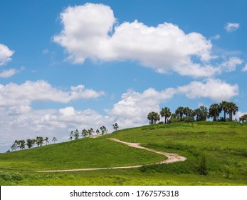 Curved hiking path on green hillside, once a landfill site and now part of a public conservation area along the Great Florida Birding Trail, on the eastern outskirts of Sarasota in springtime
