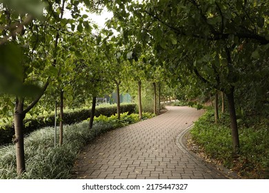 Curved path in a park with trees and plantation
