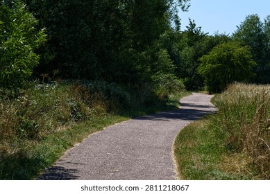 Curved Paved Path Winding Through Summer Park and Trees