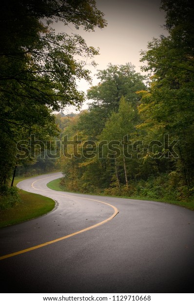 Curved Road After\
Rainfall in Forest Vertical\
