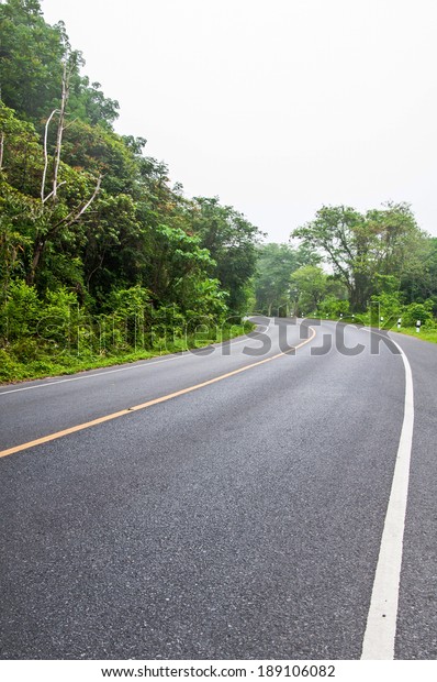 Curved road and green\
trees