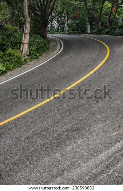 curved road with trees on\
both sides