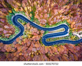 Curved Road Trough The Forest. Hi Mountain Pass In Transylvania, Romania. Aerial View From A Drone.