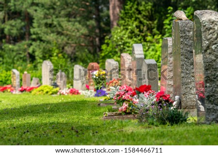 Curved row of tombstones with red and pink flowers on a beautiful and well cared cemetery in Sweden
