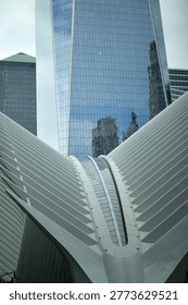 Curved White Oculus Structure With Dramatic Ribs, Adjacent Glass Tower Reflecting Skyline, new york