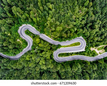 Camino curvado a través de la vista aérea del bosque