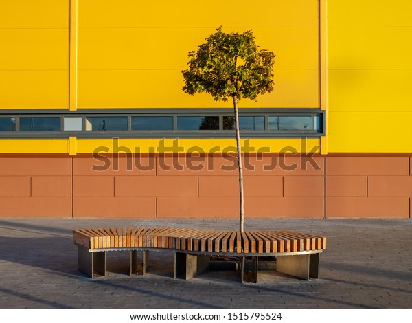 Curved Wooden Bench Lonely Small Tree Stock Photo Edit Now