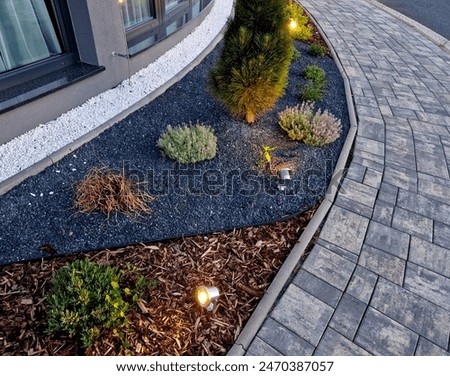 the curves of the beds and different types of mulching of the perennial bed with reflectors illuminating individual trees, curve, curves