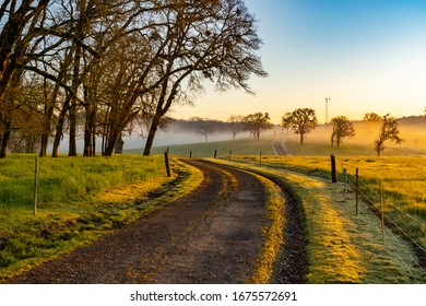 A Curvey Farm Road At Sunrise In An Agricultural Area Near Jefferson, Oregon