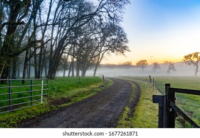 A Curvey Farm Road At Sunrise In An Agricultural Area Near Jefferson, Oregon