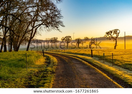 A curvey farm road at sunrise in an agricultural area near Jefferson, Oregon