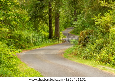 A curvey, narrow road winds through the forest on Long Beach pennisula, in southern washington state.