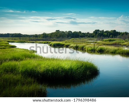 Curving blue river flowing through the green swamp on Cape Cod Island
