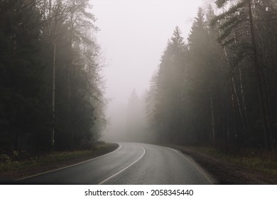 Curving empty asphalt road passing through foggy pine forest. Fog above route. Early morning. Mystic landscape. Travelling by car concept. Road safety. Mood photography.