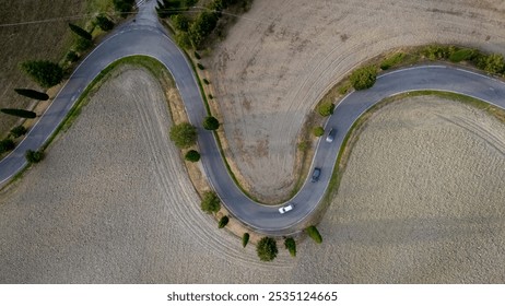 Curving gracefully through a patchwork of golden fields, a winding road invites exploration under the soft glow of the setting sun, showcasing the serene beauty of Tuscany's landscape.