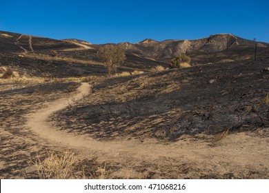 Curving Hiking Trail Leads Through Placerita Canyon Near Santa Clarita.