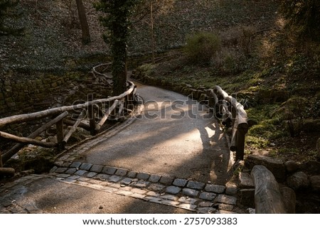 A curving park path bordered by rustic wooden railings and soft afternoon light in a quiet woodland setting. Natural outdoor scene with elegant leading lines, warm shadows, and a calm urban park atmosphere, suitable for walking, and relaxation themes
