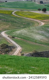 A curving path cuts through the patchwork of vibrant green and yellow agricultural fields on a gentle slope