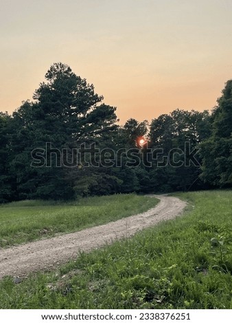 Curving Path into Forest at Sundown