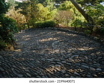 Curving path of stone cobbles through wooded area - Powered by Shutterstock