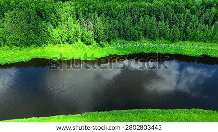 Curving river flowing through dense forest with vibrant green foliage and clear blue sky