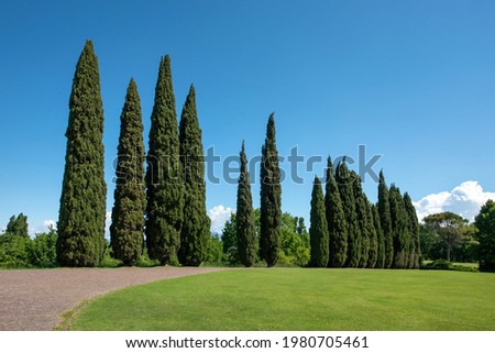 Curving walkway through a park lined with tall elegant green cypress trees viewed over a neatly manicured lawn against a sunny blue sky