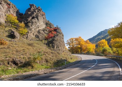 Curvy asphalt road going through mountainous terrain with yellow trees against cloudless blue sky on autumn day in nature