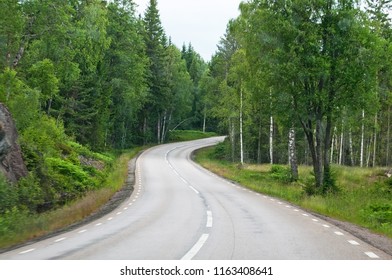 Curvy Asphalted Road Ahead Through Dark Green Summer Forest In South Sweden In July.