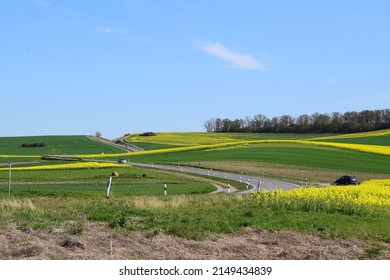 Curvy Country Road Winding Up A Hill In Springtime 