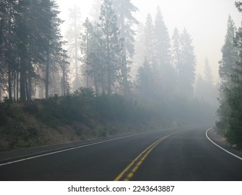 Curvy Foggy Road in California, traveling to Yosemite  - Powered by Shutterstock