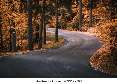 Curvy Forest Road In Autumn