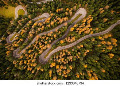 Curvy Road In Atumn Forest, Top Down View.