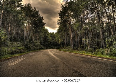 Forest Road Background Images Stock Photos Vectors Shutterstock