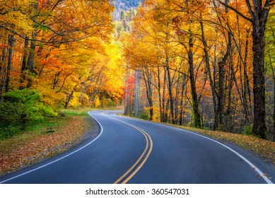 Curvy roadway and fall foliage along US 441 in the Great Smoky Mountains National Park