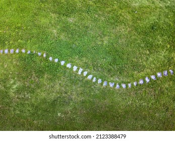 A Curvy Stone Path Through The Green Meadow (aerial Photography With Drone)