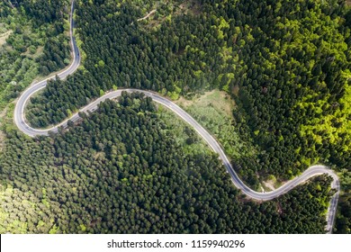 Curvy Windy Road In Dense Forest, Top Down Aerial View