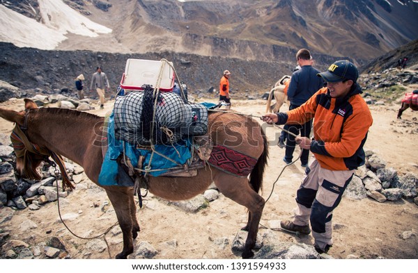 cusco/peru 10/30/2017 Pack horse and driver in\
the Andes mountains