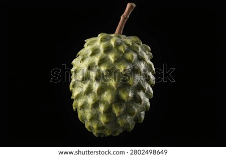 custard apple with a visible stem, showcasing a textured, segmented surface. The fruit is presented against a dark, black background.