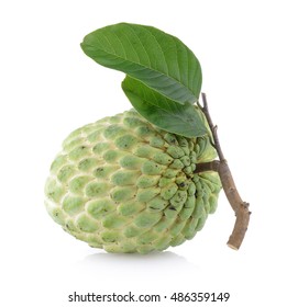 custardapple on white background