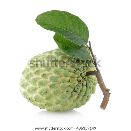 custardapple on white background