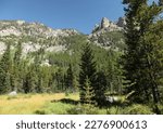 Custer Gallatin National Forest in Beartooth Mountains, Montana