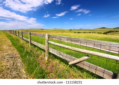 Custer State Park In South Dakota