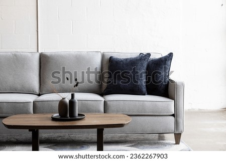Custom designed interior mid century modern furniture