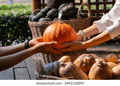 Customer is buying pumpkin and gourds from the harvest farmer fair festival with many homegrown and heirloom species that has been organically grown locally for fall and autumn season concept - Powered by Shutterstock