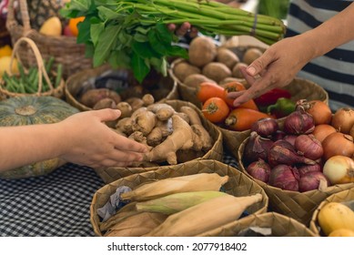 A customer inquires about the price of corncobs while holding kangkong. Buying vegetables at the market
