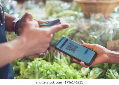 Customers Buy Organic Vegetables From Hydroponics Farm And Pay Using QR Code Scanning System Payment At Food Market Shop. E Wallet And Digital Cashless ,Technology And Futuristic Business. Concept