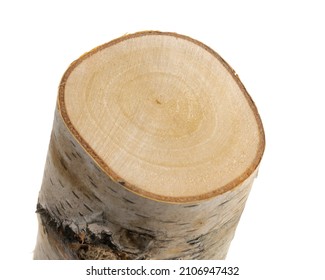 Cut Birch Branch On A White Background Isolated