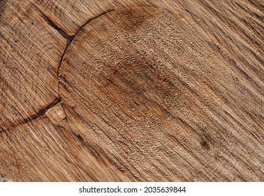 A cut of birch wood. The yellow tree pattern is made in high quality. The cross-section of wood fibers is transverse and radial. The template of light wood species is made in HD quality.