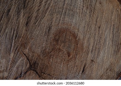 A cut of birch wood. The yellow tree pattern is made in high quality. The cross-section of wood fibers is transverse and radial. The template of light wood species is made in HD quality.