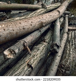 Cut branches. Stack of branches. Firewood for a fire. A pile of firewood. Wood harvesting